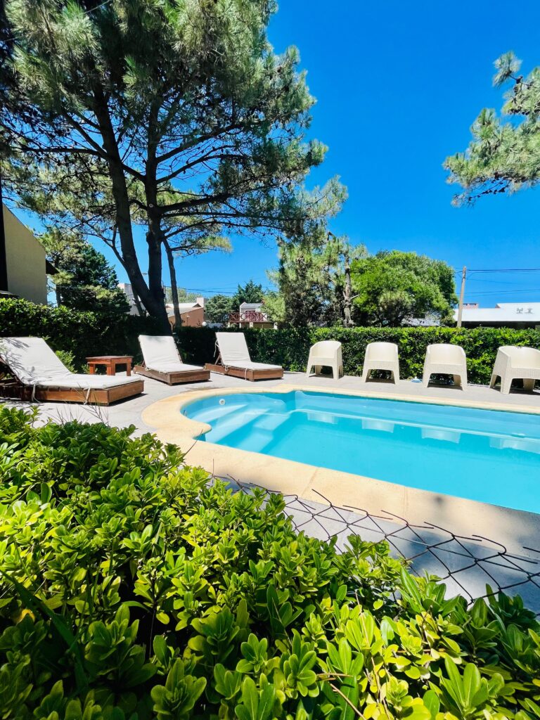 Piscina con solárium, reposeras y camastros bajo los árboles